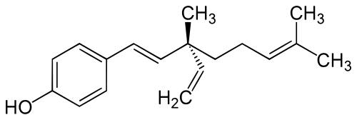 Creams cannot remove wrinkles, Bakuchiol and retinol will age and damage the skin, and a discussion on exfoliating body washes: Ask a Skin Care Biologist - O U M E R E